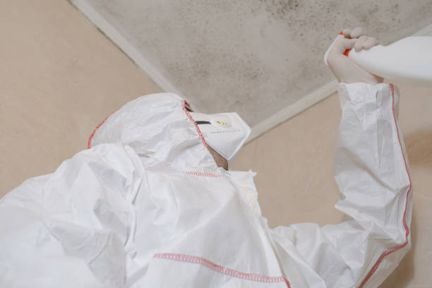 Best Crawl Space Mold Removal  in Palmetto Bay, FL